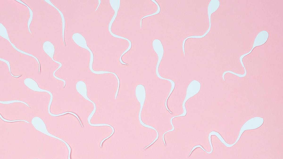 Простые методики как улучшить качество спермограммы